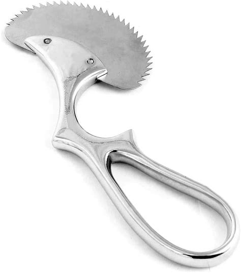 LAJA IMPORTS Angled Bone Saw 6 Stainless Steel Instruments Amazon