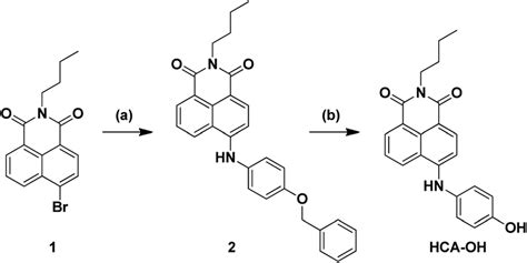 Scheme 2 Synthetic Route Of Probe Hca Oh Reagents And Conditions A