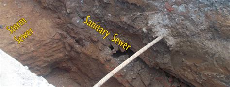 Sanitary Sewer Overflow Solution Comes from An Unlikely Source: A Fish ...