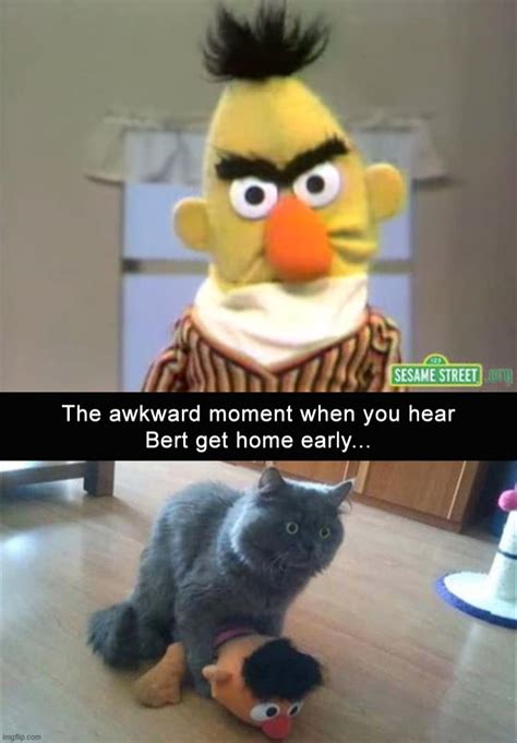 Bert Angry Gif