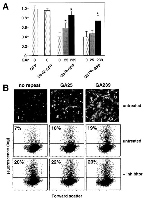 Inhibition Of Proteasomal Degradation By The Gly Ala Repeat Of Epstein