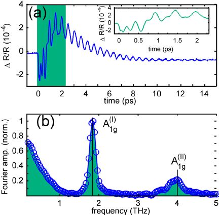 A Pump Induced Change In Reflectivity In Bi Te Showing Coherent