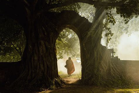 Fondos De Pantalla Templo Luz De Sol Bosque Jardín Naturaleza Mañana Monjes Raíces