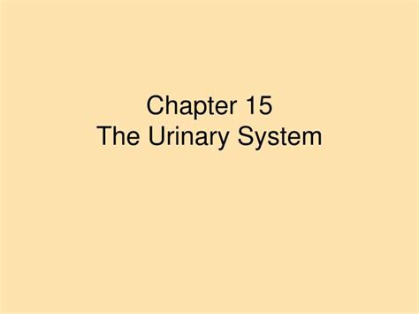 Ppt Chapter 15 The Urinary System Powerpoint Presentation Free Download Id 5761585