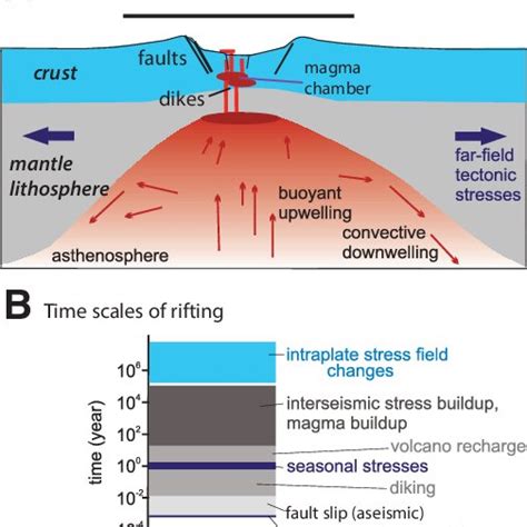 A: A mature rift zone. A thin mantle lithospheric lid underlies a zone ...