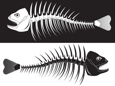 19 371 515 Fish Skeleton Vector Images Depositphotos