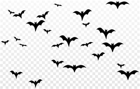 Premium Vector | Vector bats on an isolated transparent background ...