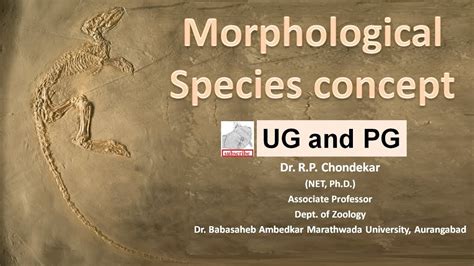 Morphological Species Concept YouTube