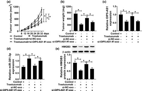 Exosomal Mediated Transfer Of Oip As Enhanced Cell Chemoresistance To