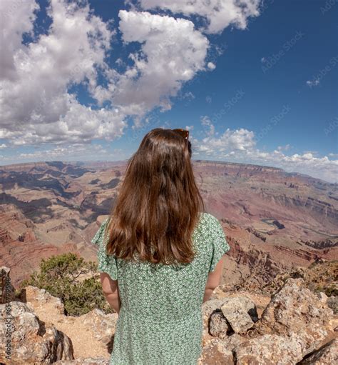 The South Rim of the Grand Canyon National Park, carved by the Colorado ...