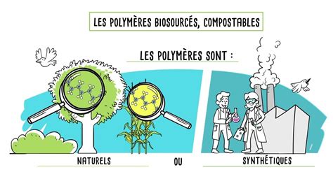 Fr Biod Gradation Et Polym Res Biosourc S Compostables Youtube