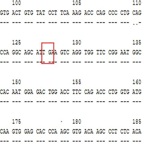 Alignment Of The Sequence Of Exon Of Hladrb With The