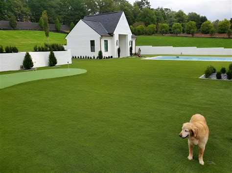 Artificial Turf Raleigh: Reduce Maintenance, and Boost Home Value