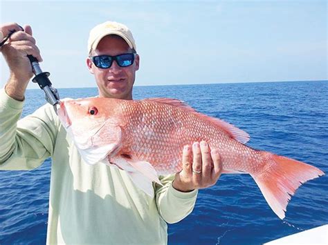 sebastian offshore coastal angler  angler magazine