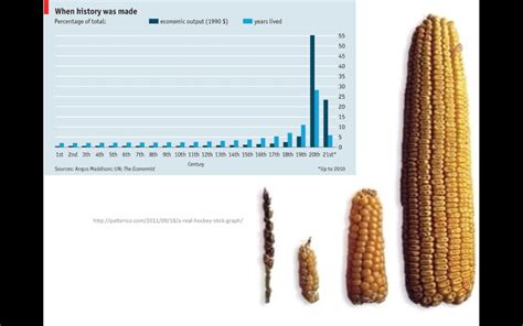 Corn Seed Size Chart