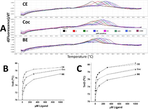 Differential Scanning Fluorescence Dsf Analysis In Ph Pbs Buffer