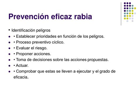 PPT Rabia situación actual PowerPoint Presentation free download