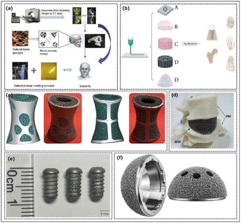 Coatings Free Full Text Effect Of D Printed Porous Titanium Alloy