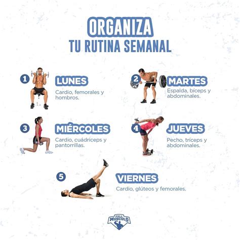 Esta Es Solo Una Manera De Organizar La Rutina💪 Hay Muchas Otr Rutinas De Entrenamiento