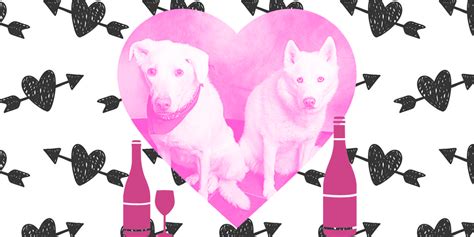 Sveti Trifun, Valentine's Day, FHO Recovery - My Two White Dogs Blog