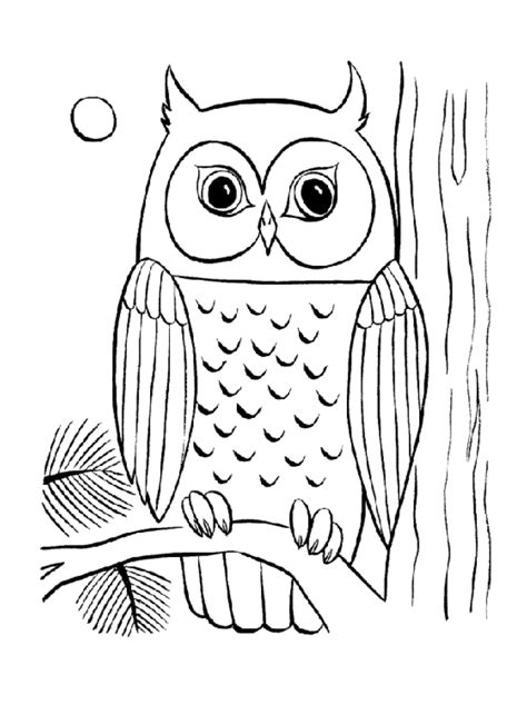 Cool Owl Coloring Pages - Coloring Home