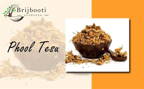 Plash Phool - Phool Tesu | Buy Now | Benefits & Uses