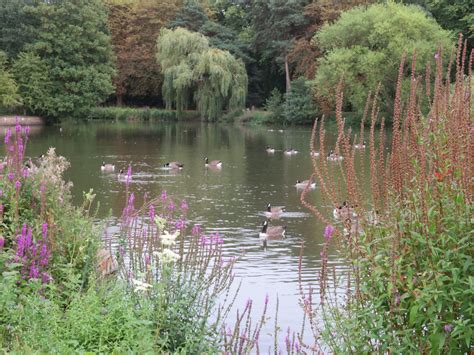 Best Public Transport Options for Highfields Park in Nottingham 6