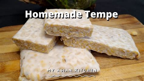 How To Make Tempeh At Home Fermenting Soya Beans Membuat Tempe Youtube