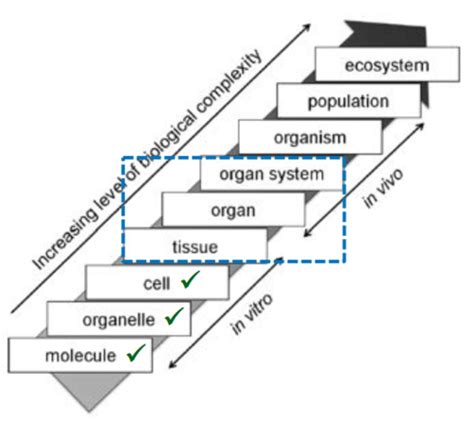 Unifying Themes Of Biology Mechanisms Of Evolution Evolution Of