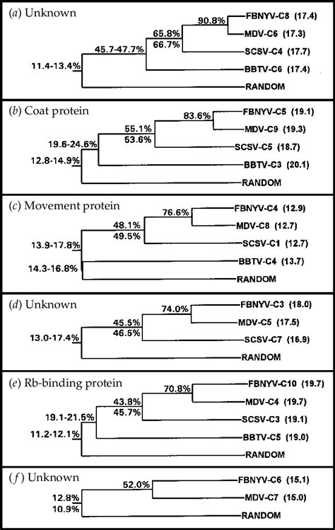 Dendrograms Showing Phylogenetic Relationships Among Protein Homologues