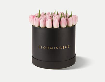 Blooming Box on Behance