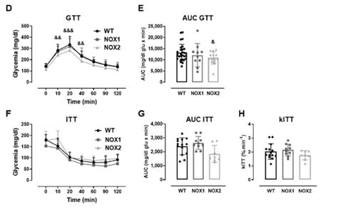 The Role Of Nox In Islet Function In Vivo And Ex Vivo A B The