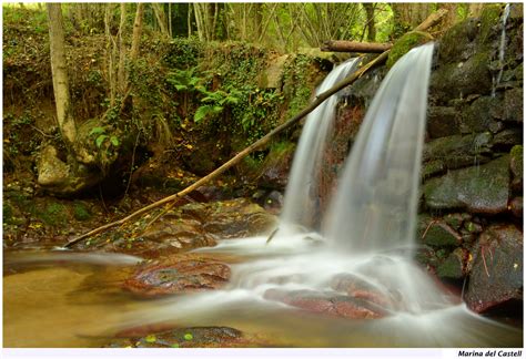 Free Images Tree Nature Forest Waterfall Leaf River Stream