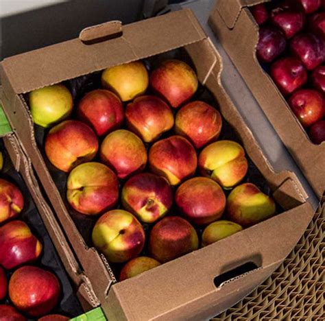 Le plateau fruits et légumes en carton ondulé un emballage performant