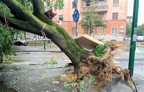 Nordmilano Flagellato Di Nuovo Dal Maltempo Strade Allagate Alberi