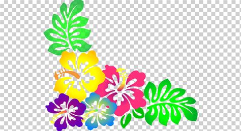 Cocina De Hawai Hawaiana Flor Hawaii Flor S Planta Herb Cea Arreglos