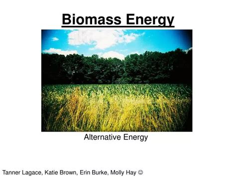 Ppt Biomass Energy Powerpoint Presentation Free Download Id4387981