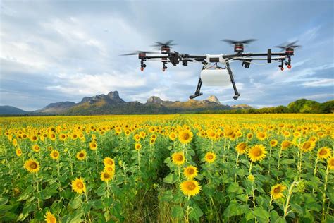 Agricultura De Precisi N Drones Una Herramienta Para Tu Explotaci N