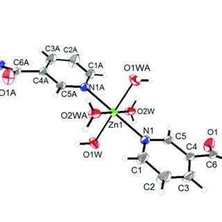 The Coordination Environment Of Zn Ii Ion Where The Thermal