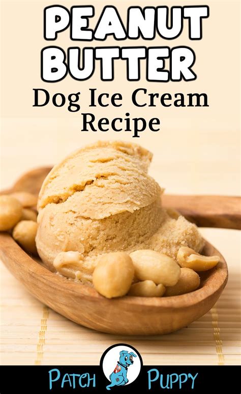 a scoop of peanut butter dog ice cream in a wooden spoon with the title ...