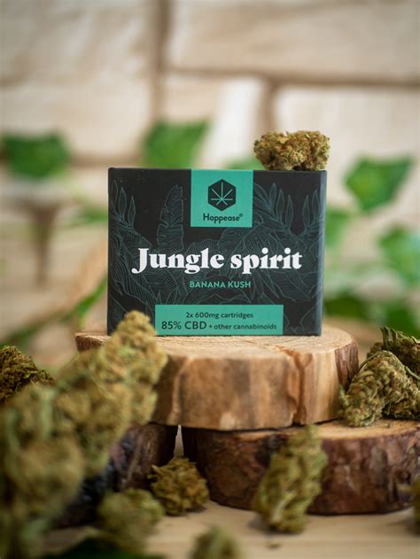 Kit Double Recharge Cbd Jungle Spirit Greenity