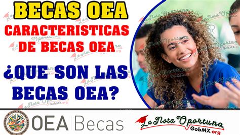 Las Mejores Becas Oea Este Gobmx Org