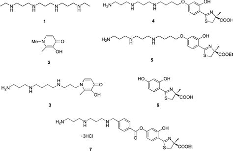 Polyamine Analogue Denspm 1 Chelators 2 And 6 And Polyamine