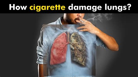 How Cigarettes Smoking Damages Lungs Urduhindi Youtube