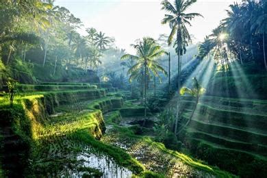 25 Mooiste Bezienswaardigheden Bali Wat Zeker Zien Doen