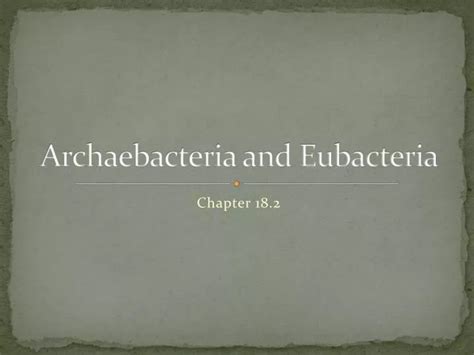 PPT Archaebacteria And Eubacteria PowerPoint Presentation Free