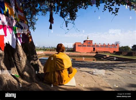 Vue arrière d un moine assis sous un arbre de Bodhi Maya Devi Temple