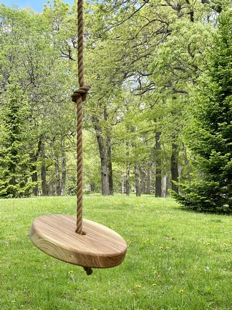 How To Diy A Simple Tree Swing Artofit