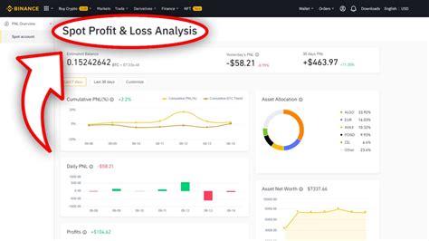 How To Find Binance Profit And Loss [pnl] Analysis 2022 Youtube