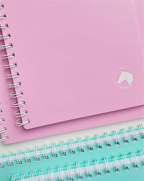 Cuaderno Caballito Con 5 Sobres Separadores Removibles Ameli Papeleria